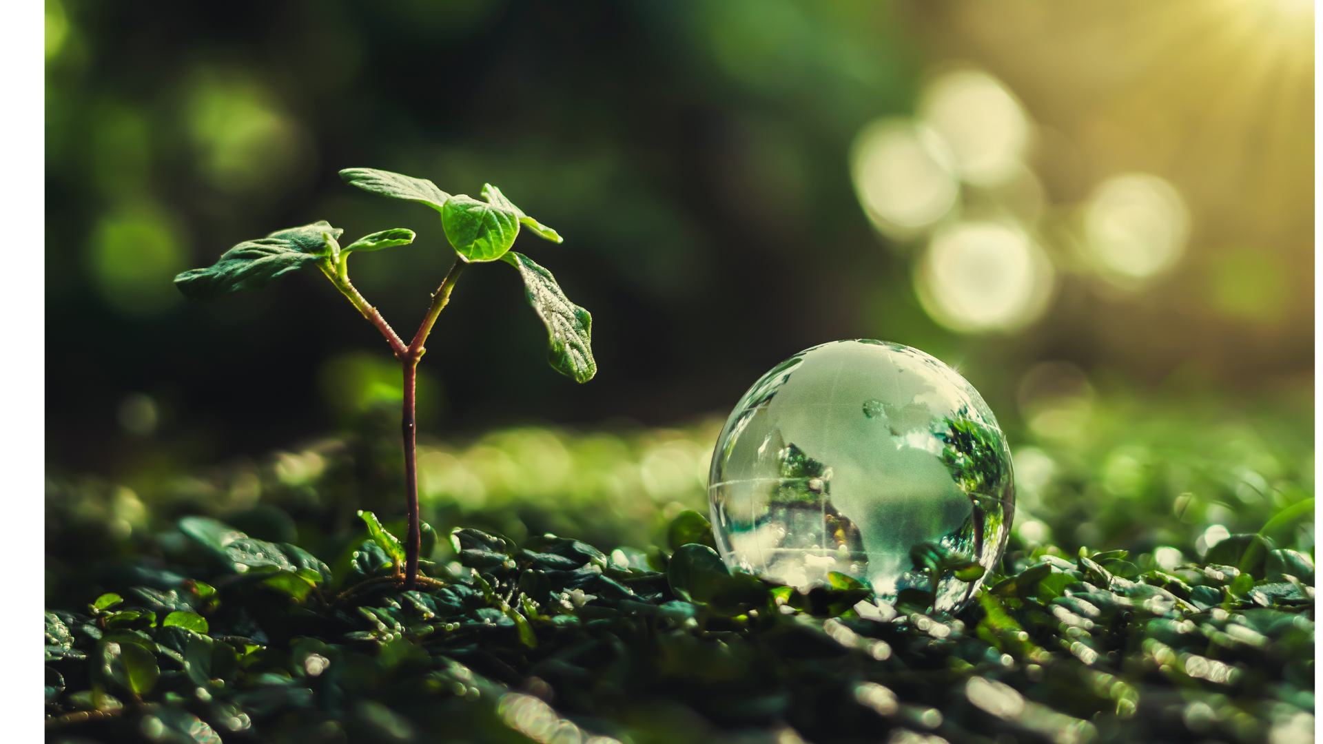 Team collaboration and growth